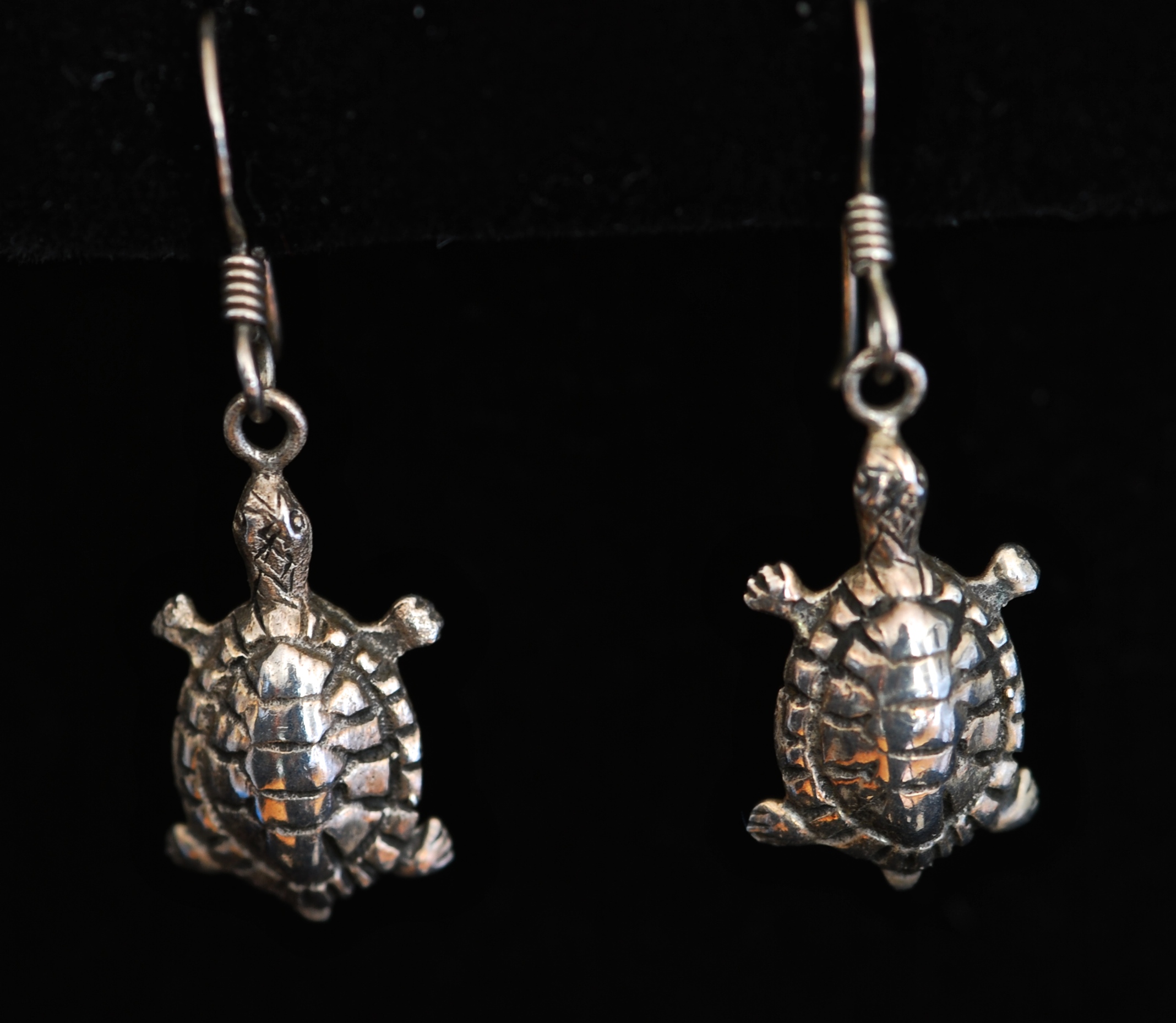 Sterling Silver Carved Turtle Earrings | QUIET WEST